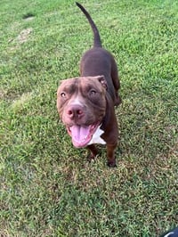 Hugo - Photo 7