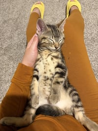 Zuko - Photo 4