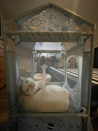 Apollo M - Photo 3