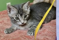 Leela May - Photo 3