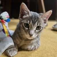 Leela May - Photo 1