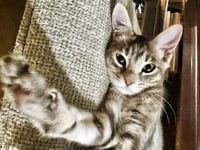 Leela May - Photo 2
