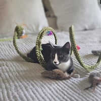 Beans - Photo 1