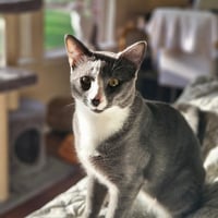 Beans - Photo 2