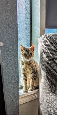 Margarita - Photo 3