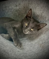 Ivan - Photo 1