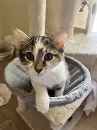 Maggie Mae - Photo 1