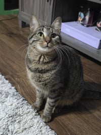Juno - Photo 2