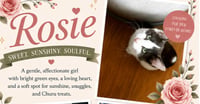 Rosie Posie - Photo 1