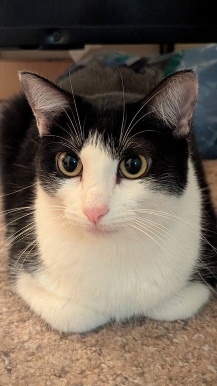 Sophie W Image