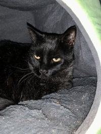 Jack - Photo 4