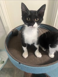 Bellingham - Photo 1