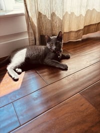 Maybel - Photo 2