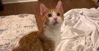 Colby - Photo 4