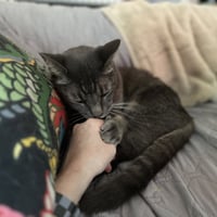Milo Mike - Photo 3