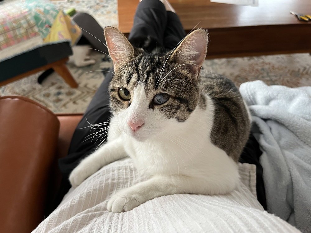 Felicity Image