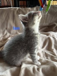 Ian - Photo 3