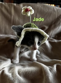 Jade - Photo 4