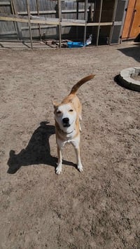 MAY - Photo 7