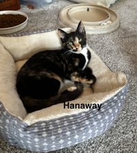 Hanaway - Photo 3