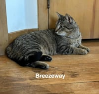 Breezeway - Photo 6