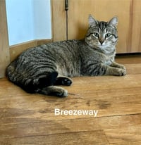 Breezeway - Photo 4