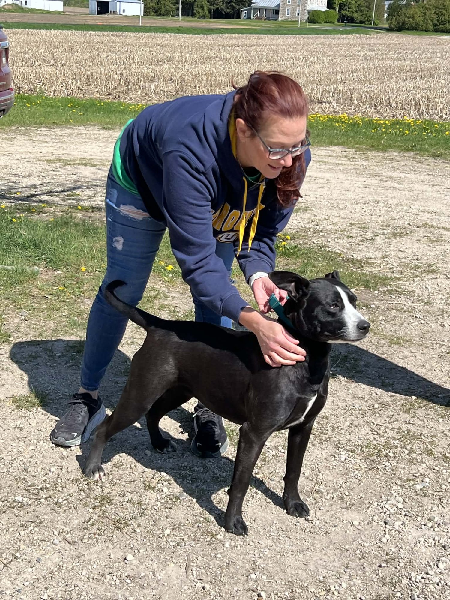 CASHMERE - COURTESY POST - Photo 3