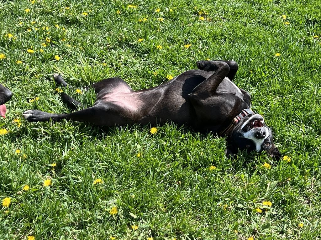 CASHMERE - COURTESY POST - Photo 4