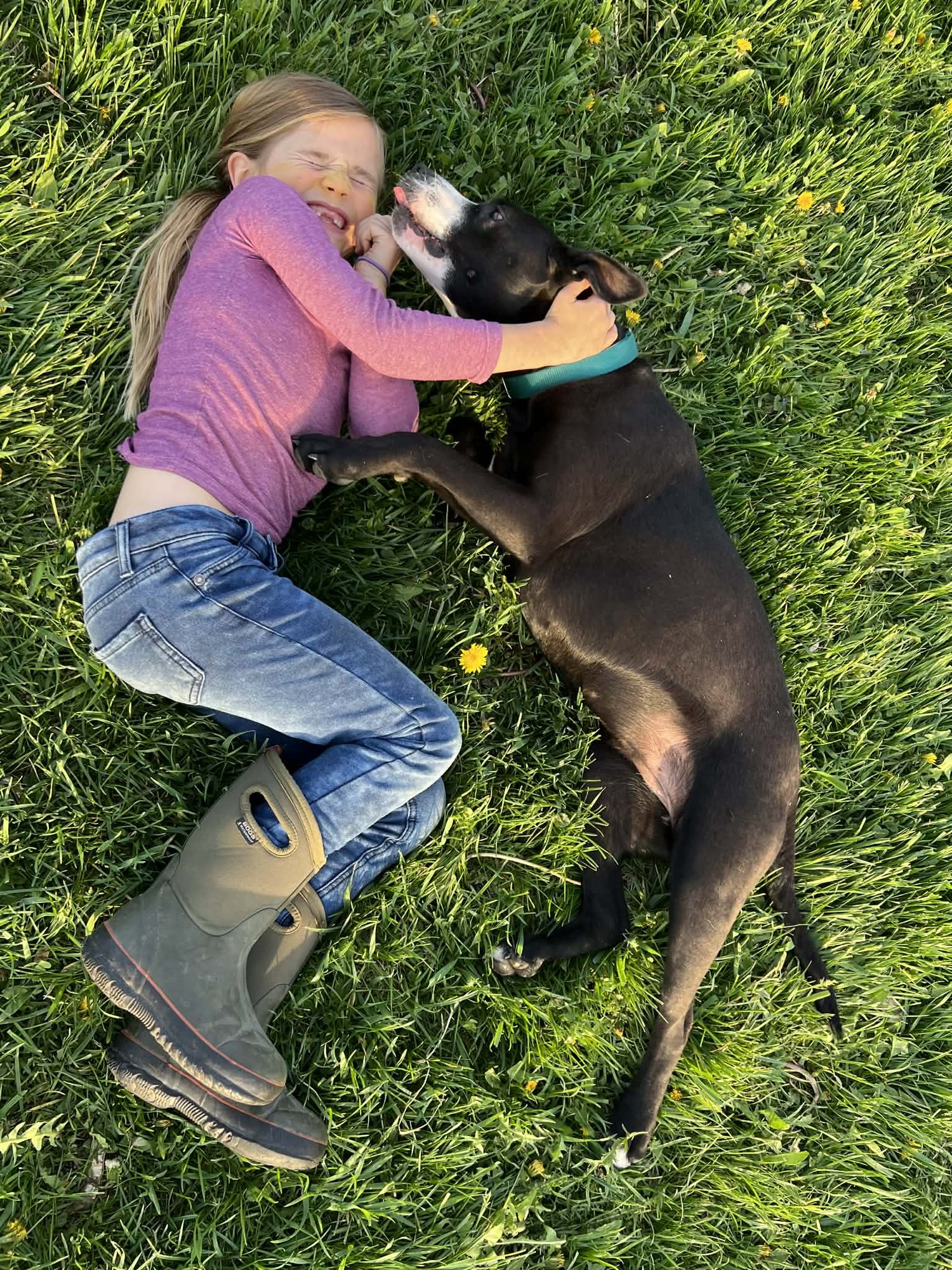 CASHMERE - COURTESY POST - Photo 5