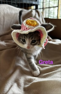Greta - Photo 3