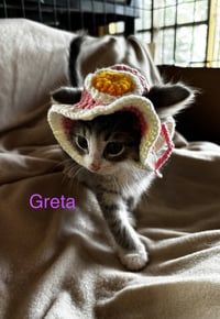 Greta - Photo 2