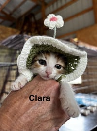 Clara - Photo 2