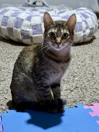 Sally - Photo 2