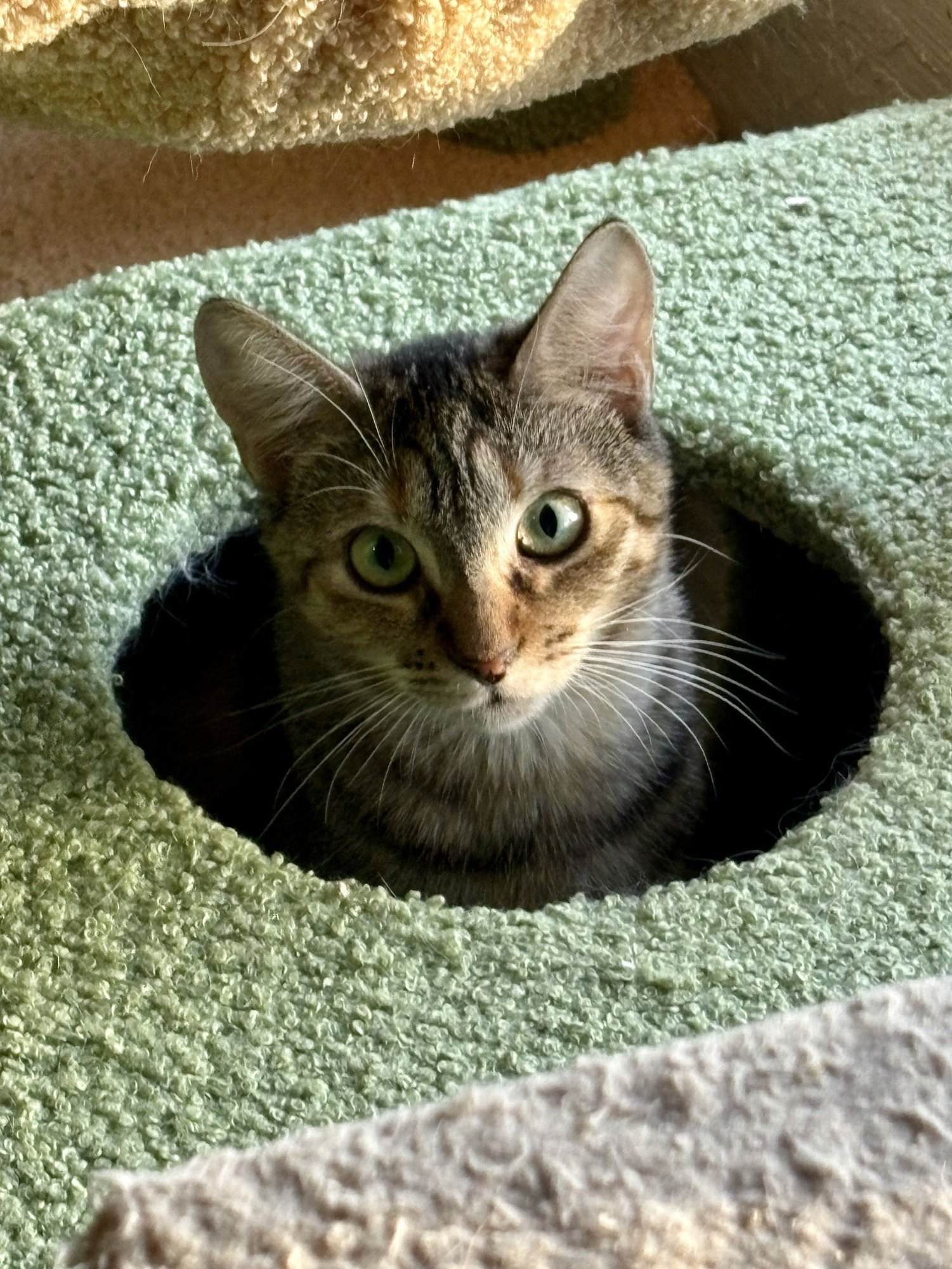 Sally BONDED with Johnny - Photo 4