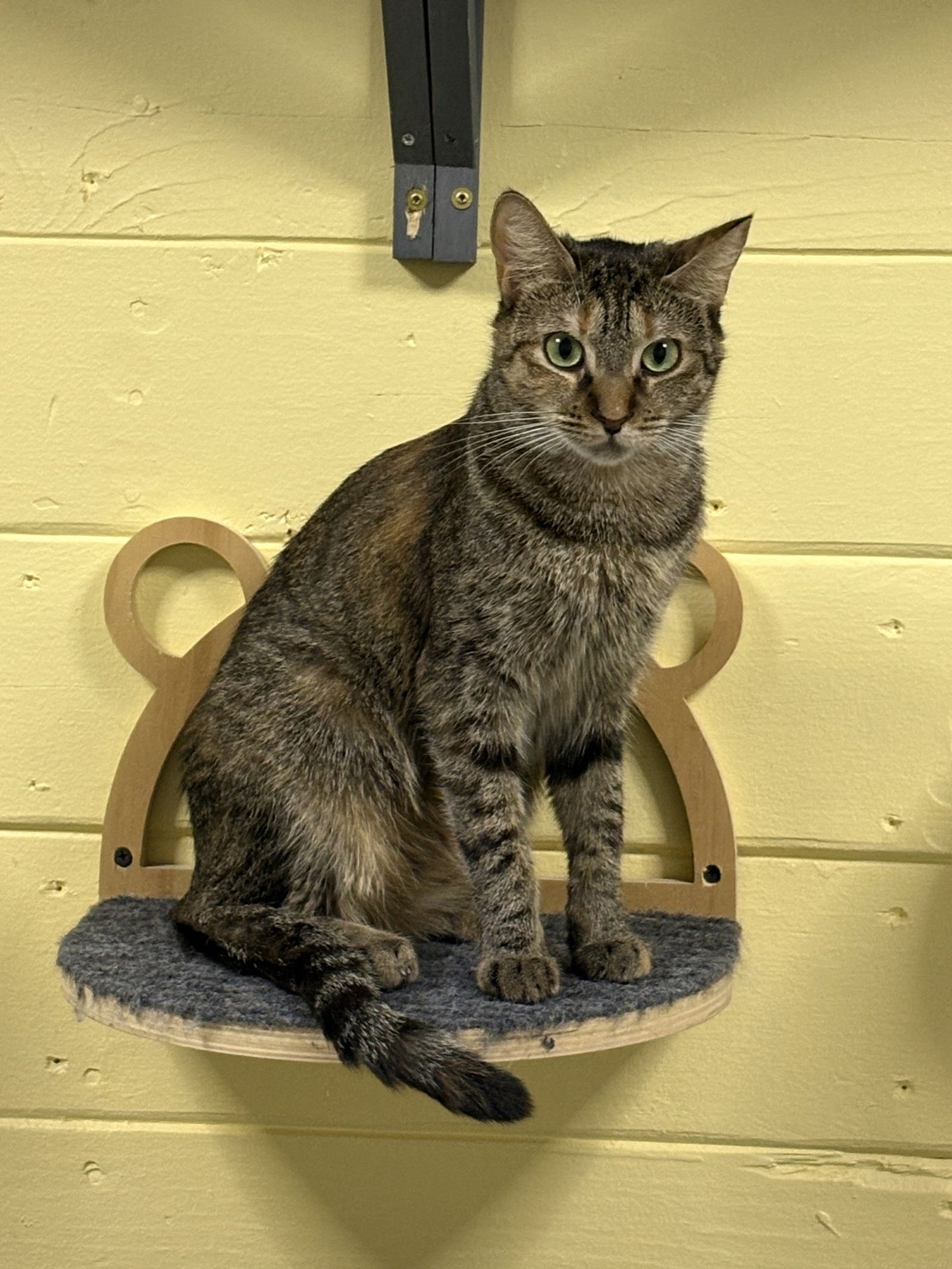 Sally BONDED with Johnny - Photo 5