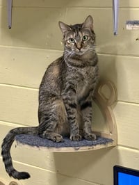 Sally - Photo 1