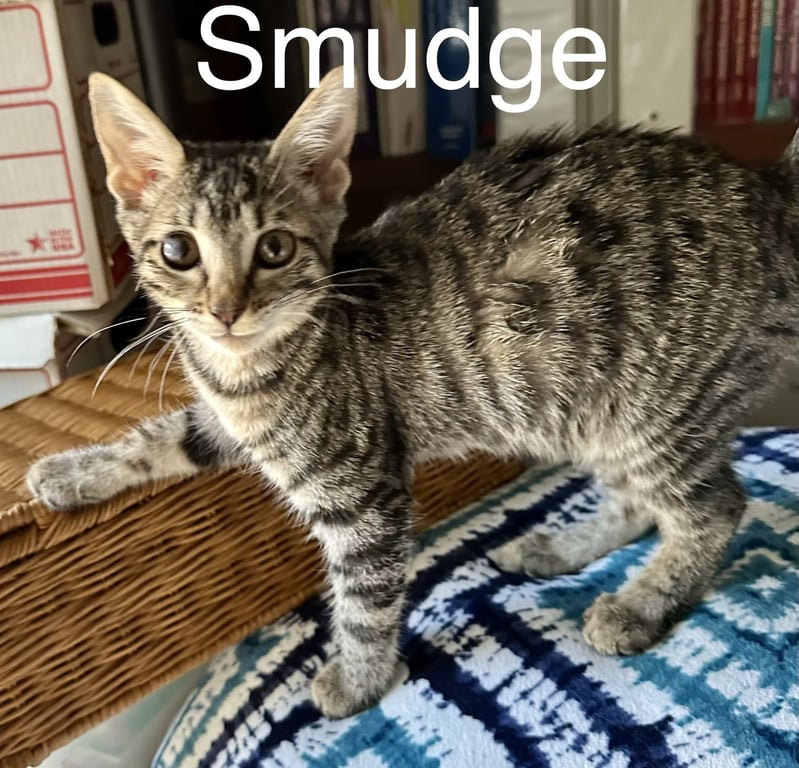 Smudge Image