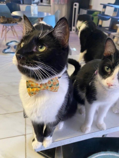 Drake BONDED with Kendrick - Photo 4