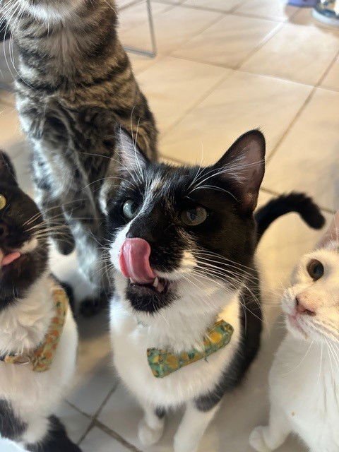 Kendrick BONDED with Drake - Photo 3