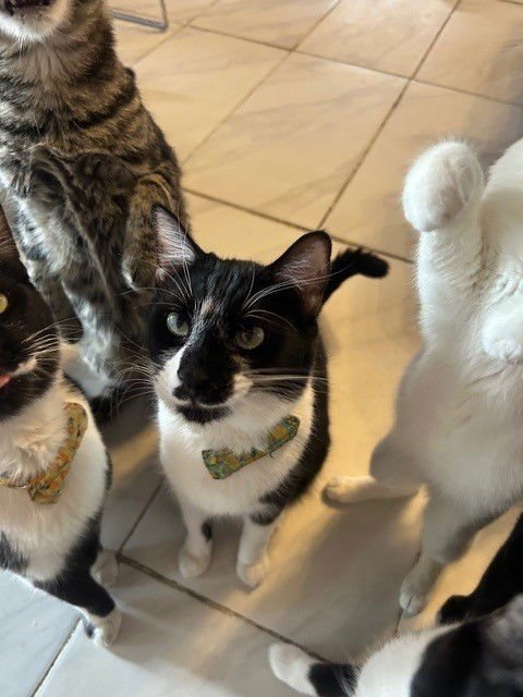 Kendrick BONDED with Drake - Photo 5