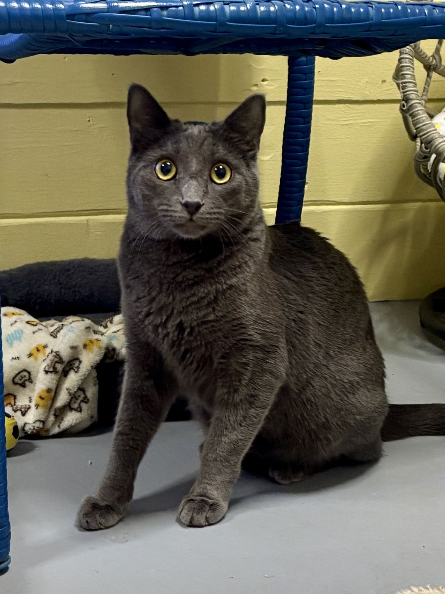 Johnny BONDED with Sally - Photo 3