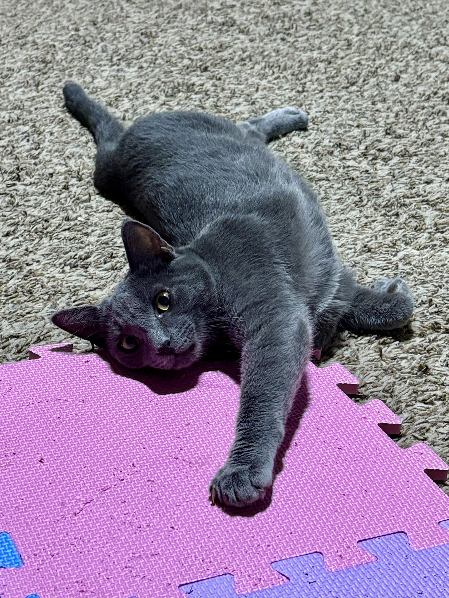 Johnny BONDED with Sally - Photo 4