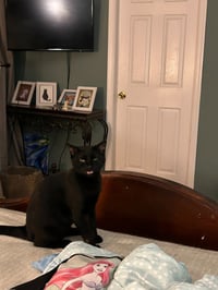 Taylor Wednesday - Photo 1