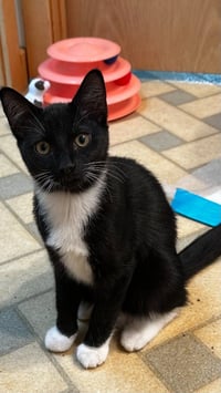 Fuzz - Photo 2