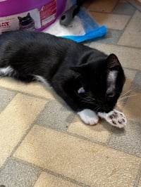 Fuzz - Photo 3