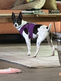 Precious - Photo 2