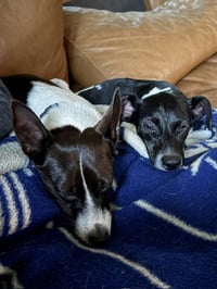 Precious - Photo 11