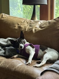 Precious - Photo 3