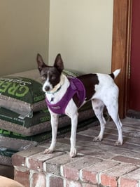 Precious - Photo 5