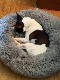 Precious - Photo 9